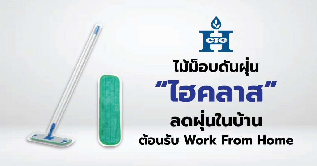 ไม้ม็อบดันฝุ่น "ไฮคลาส" ลดฝุ่นในบ้าน ต้อนรับ Work From Home